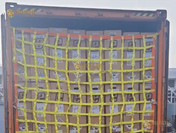 Container Cargo Safety Net